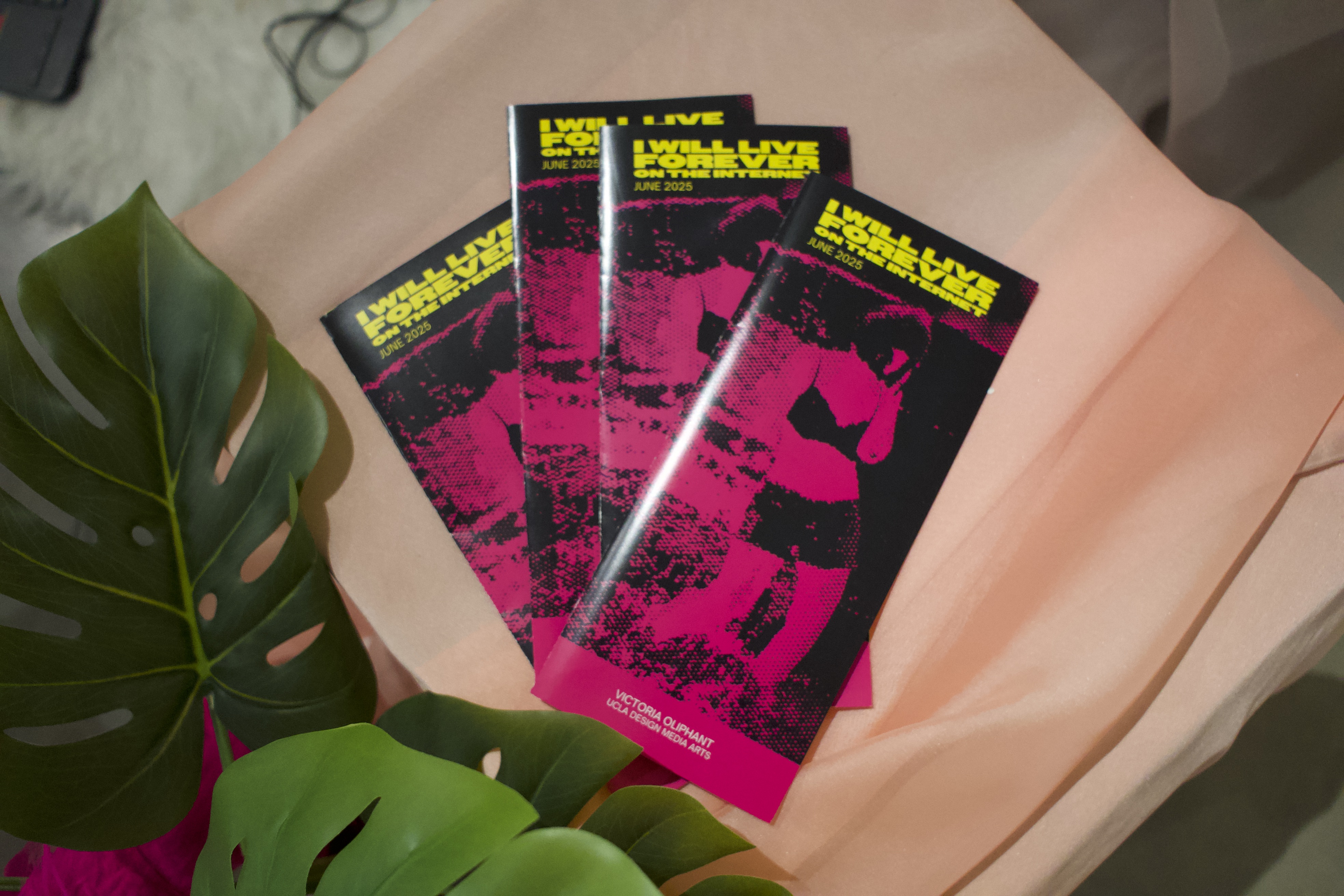 Project 1 Sub Image 1