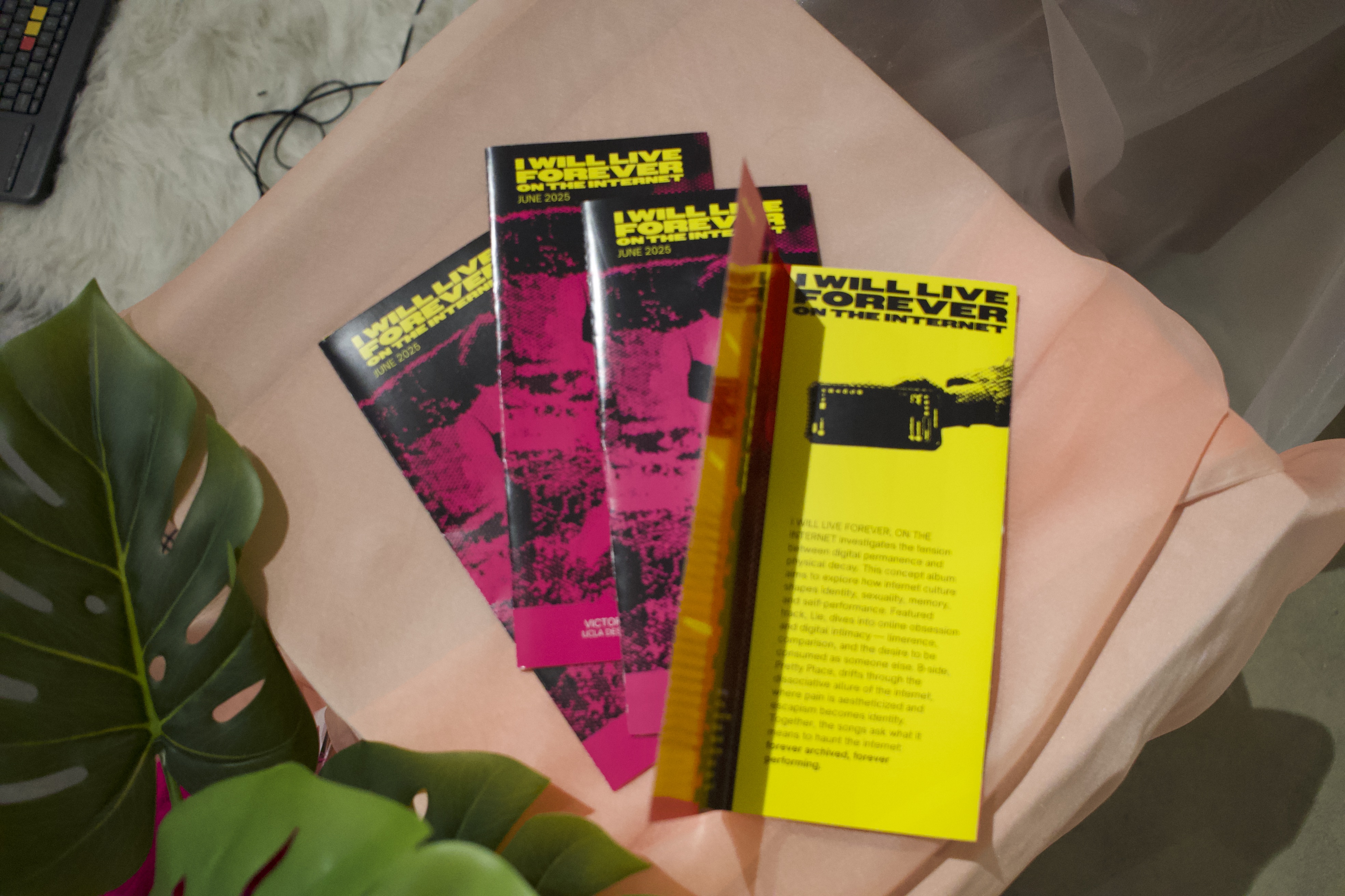 Project 1 Sub Image 1