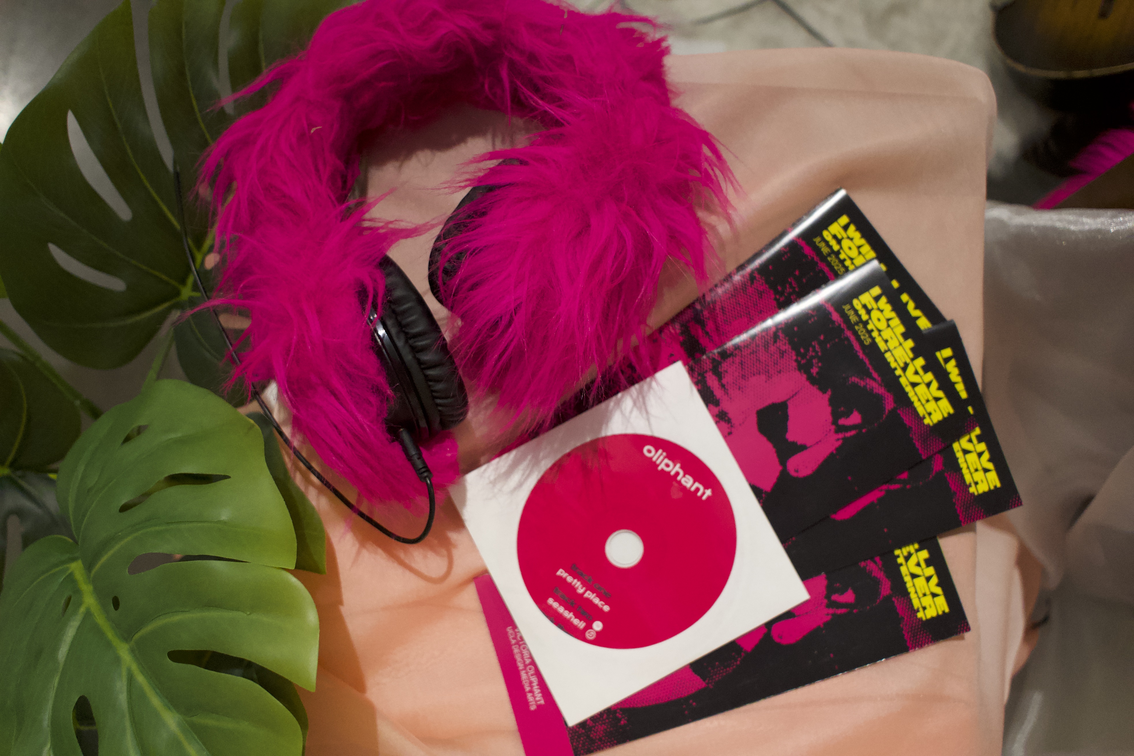 Project 1 Sub Image 1