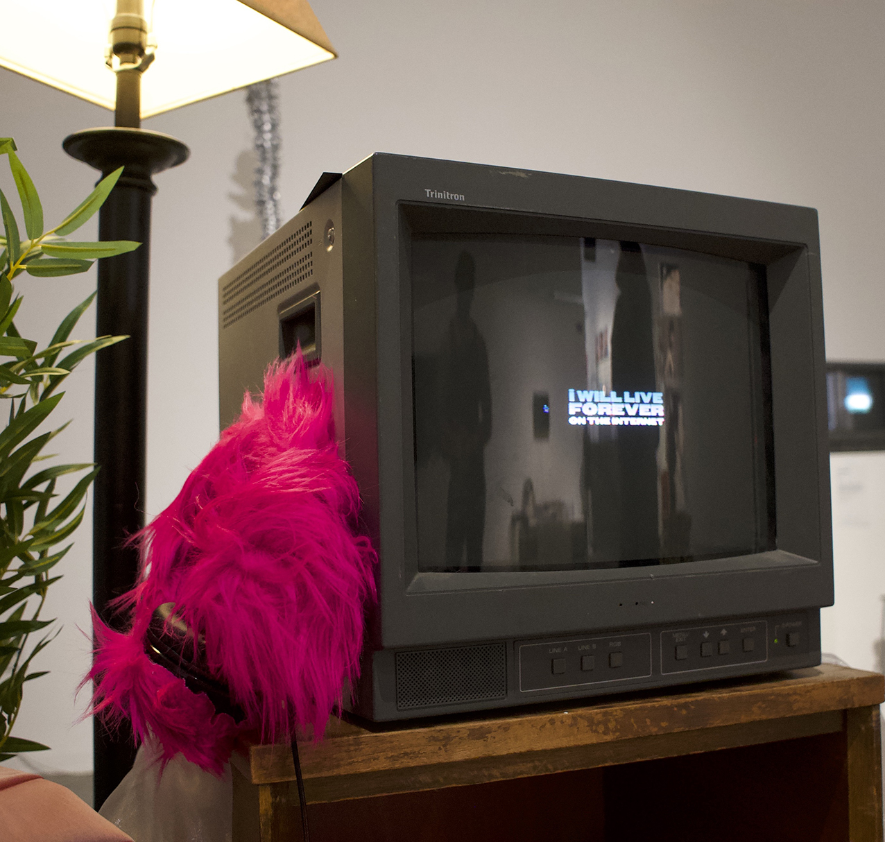 Project 1 Main Image