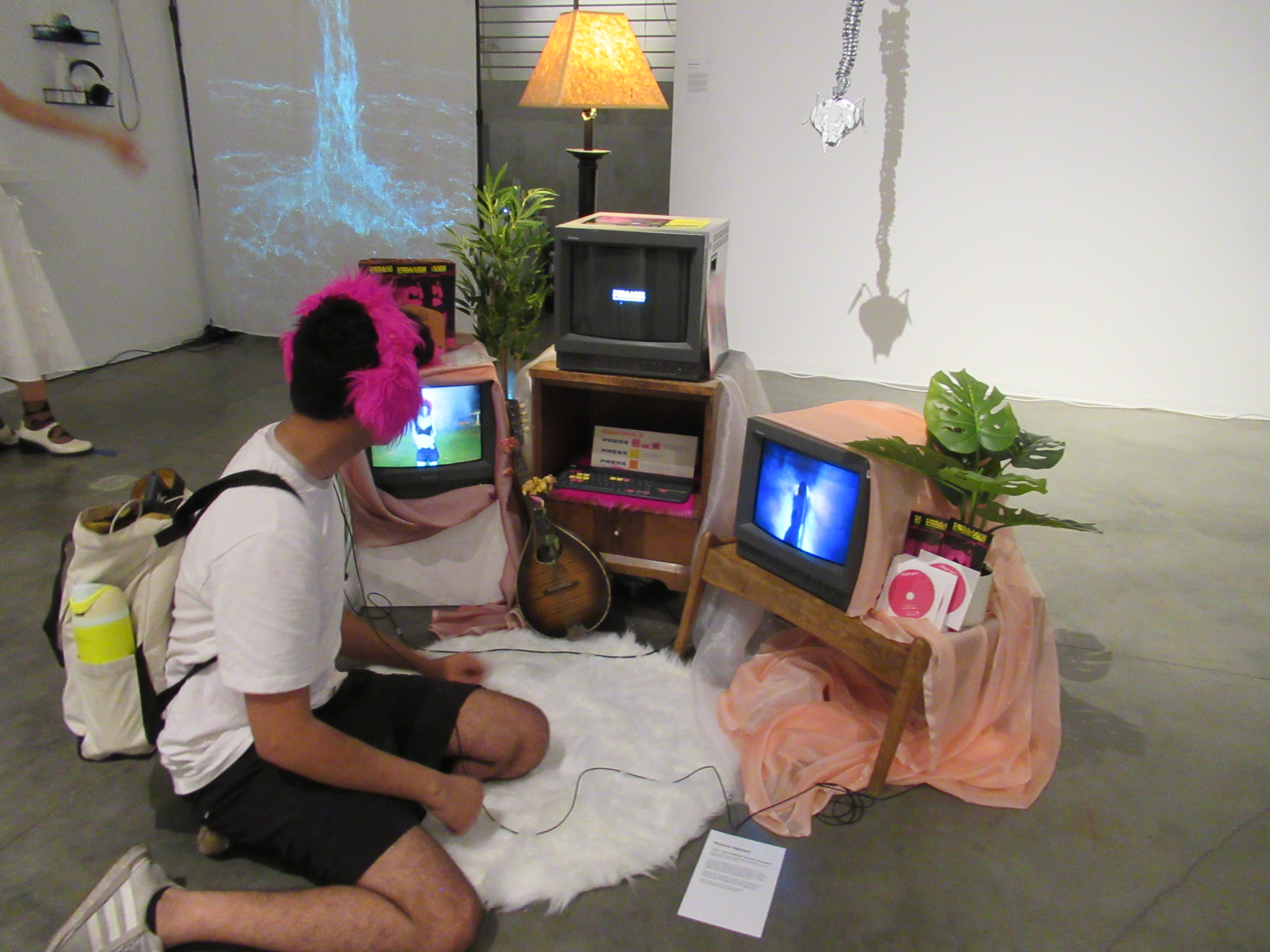 Project 1 Sub Image 1