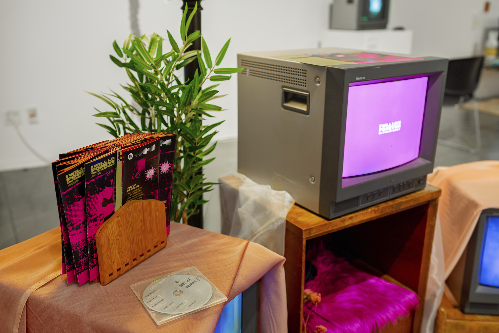 Project 1 Main Image