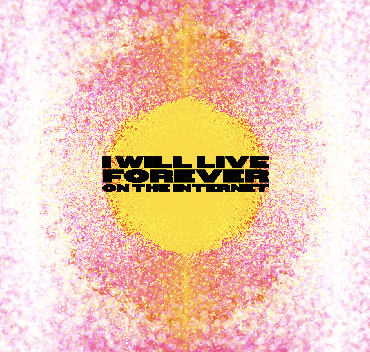 Project 1 Sub Image 1