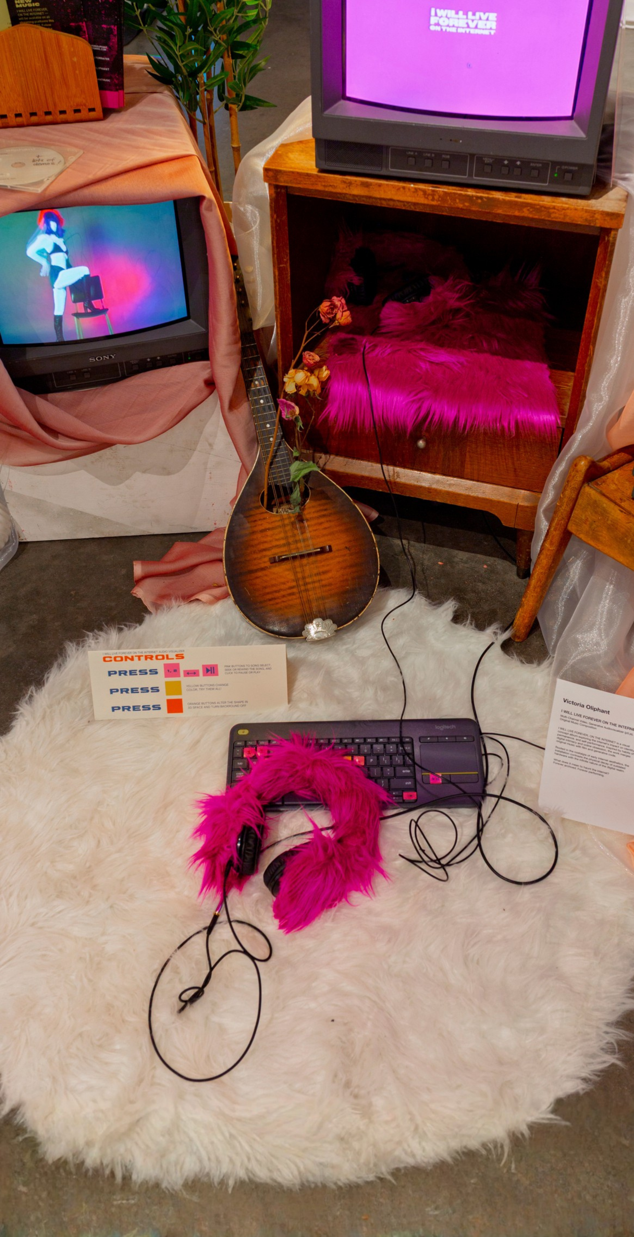 Project 1 Sub Image 1